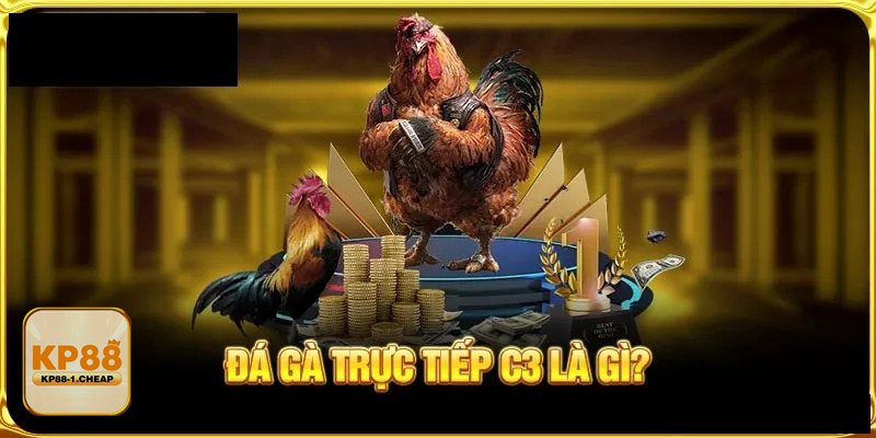 Đá Gà Online - Nguồn trận đấu và tiêu chuẩn phát sóng